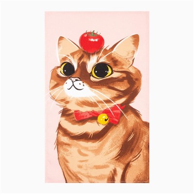 Набор полотенец кухонный Доляна Cats 35×60 см - 8 шт., 100% хлопок