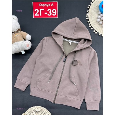 кофта 1979877-1