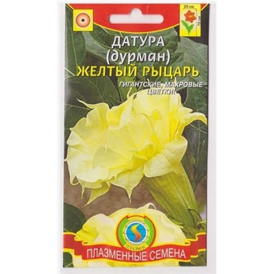 Датура Желтый рыцарь (Код: 75202)