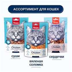 Wanpy Cat Лакомство для кошек «Мягкая вяленая соломка» из курицы 80 г