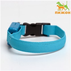 Ошейник светящийся узкий для небольших собак, 26×1.5 см, голубой