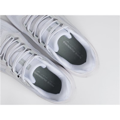 Кроссовки Nike Air Zoom Pegasus 41