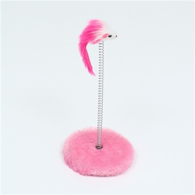 Дразнилка для кошек, 10.5×23 см, на пружине с мышью 5 см, розовая