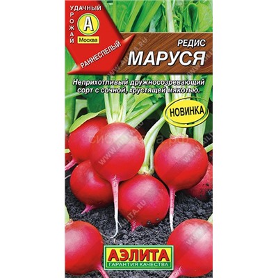Редис Маруся (Аэлита)