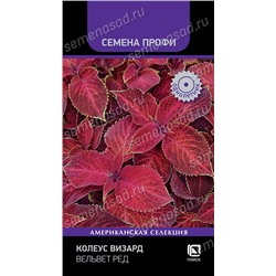 Колеус Визард Вельвет Ред (Код: 93366)
