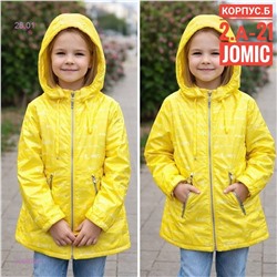 Детская куртка весна 2058050-1