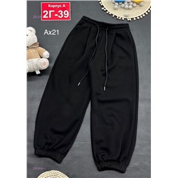 штаны с начесом 2053654-1