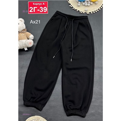 штаны с начесом 2053654-1