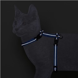 Шлейка для кошек, ширина 1 см, светоотражающий, ОШ 16.5-27 см, ОГ 21-35 см, синий