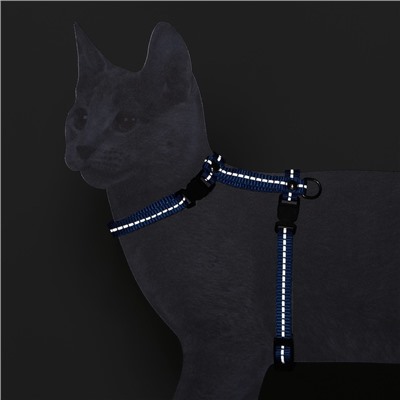 Шлейка для кошек, ширина 1 см, светоотражающий, ОШ 16.5-27 см, ОГ 21-35 см, синий