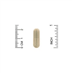 Organic India, Memory, 90 Vegetarian Caps