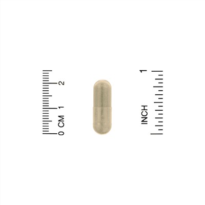 Organic India, Memory, 90 Vegetarian Caps