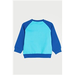 Свитшот PLAYTODAY, 1048853