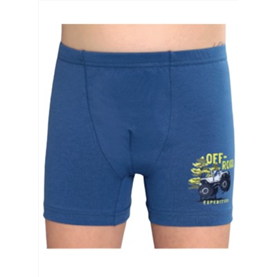 Трусы для мальчика Berrak