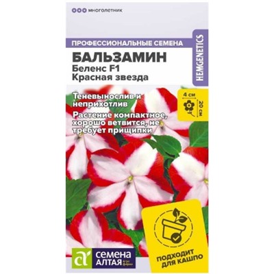 Бальзамин Красная Звезда комн.Сем.А