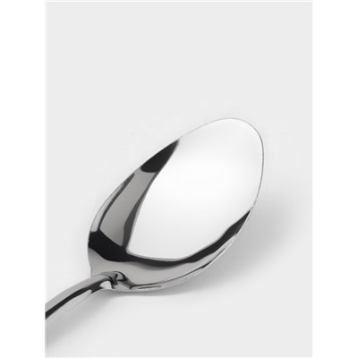 Набор столовых ложек Доляна «Оптима», длина 19 см, набор 12 шт., нержавеющая сталь, серебристый