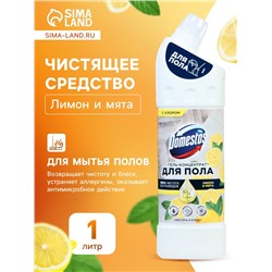 Средство для мытья полов Domestos, «Лимон и мята», 1 л
