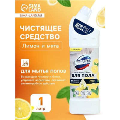 Средство для мытья полов Domestos, «Лимон и мята», 1 л