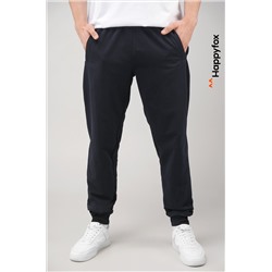 Мужские брюки из футера двухнитки Happyfox