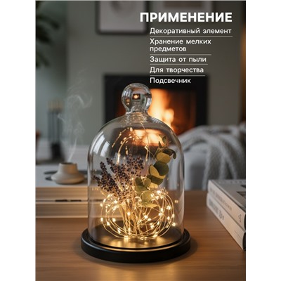 Стеклянный купол - клош на деревянной подставке, 17×25 см, чёрный