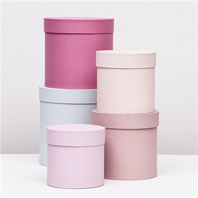 Набор шляпных подарочных коробок 5 в 1« Нежность», 23×23 - 14×14 см