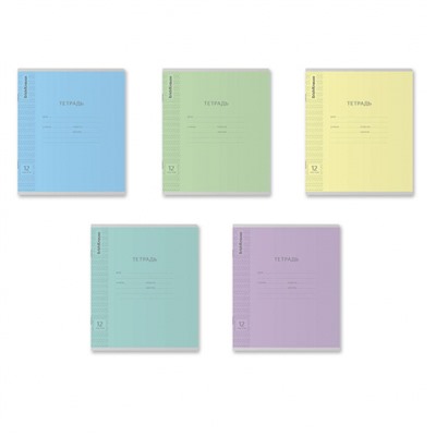 Тетрадь  12л  1 класс в две линии с частыми наклонными "Классика Visio" ассорти 43334 ErichKrause