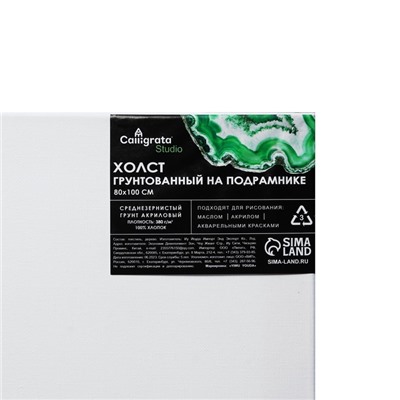 Холст на подрамнике, хлопок 100%, 1.6×80×100 см, акриловый грунт, среднезернистый, 380 г/м²