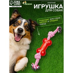Игрушка канатная с косточкой, до 90 г, до 26 см, микс цветов