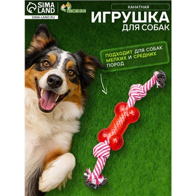 Игрушка канатная с косточкой, до 90 г, до 26 см, микс цветов