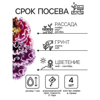 Семена Виола "Махровое кружево", ц/п,  триколор, F1, 4 шт