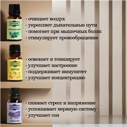 Набор эфирных масел «Лесные ноты» 9 шт. по 17 мл Добропаровъ