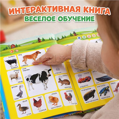 Плакат развивающий "О самых необходимых вещах"