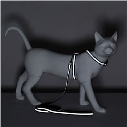 Комплект для кошек светоотражающий, ширина 1 см, шлейка 21-35 см, поводок 120 см, чёрный