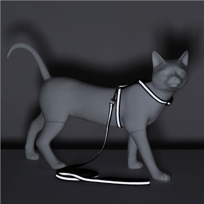 Комплект для кошек светоотражающий, ширина 1 см, шлейка 21-35 см, поводок 120 см, чёрный