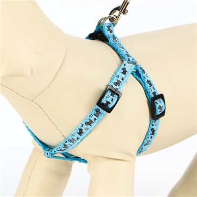 Комплект «Собачки», ширина 1 см, поводок 1.2 м, шлейка 23-35 см, голубой