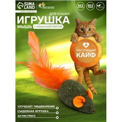 Мышь для кошек из прессованной кошачьей мяты с хвостом из перьев, 5 см