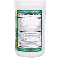 Garden of Life, Perfect Food, добавка из суперзелени, 300 г (10,58 унции)