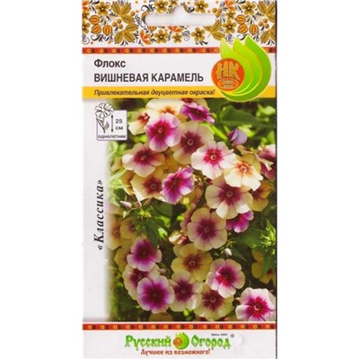Флокс Вишневая Карамель  (Код: 79295)