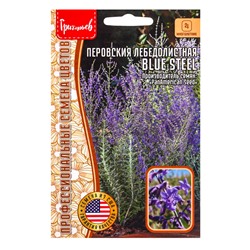 Семена цветов Перовския Blue Steel лебедолистная  3шт / НОВИНКА 12.29 г.