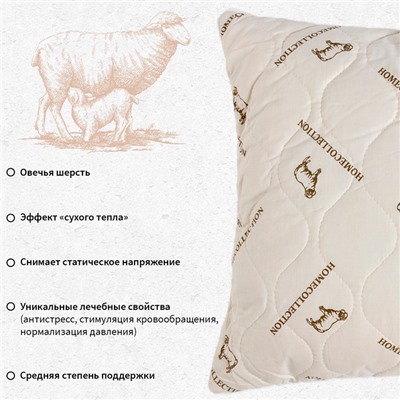 Подушка «Этель», подстёжка — овечья шерсть, 50×70 см, тик