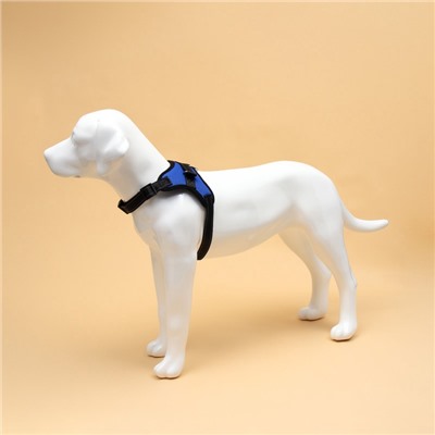 Шлейка К7, размер XL, ОГ 74-92 см, вес 28-47.5 кг, мягкая, светоотражающая, синяя