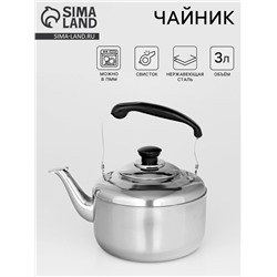 Чайник со свистком, 3 л, нержавеющая сталь, хромированный