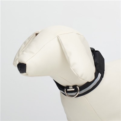 Ошейник с подсветкой размер S, ОШ 35-43×2.5 см, 3 режима свечения чёрный