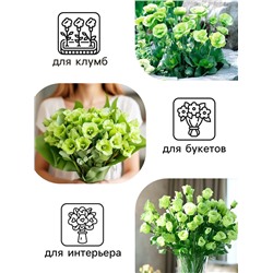 Семена цветов Лизиантус F1 «Эйбиси», зеленая, 5 шт., «Дом семян»