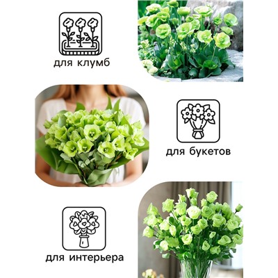 Семена цветов Лизиантус F1 «Эйбиси», зеленая, 5 шт., «Дом семян»