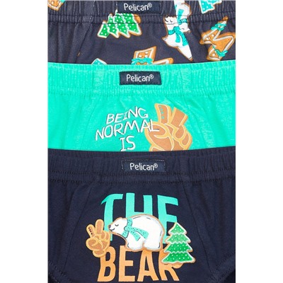 Трусы 3 шт. PELICAN, 736024