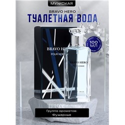 Туалетная вода мужская Bravo Hero, 100 мл