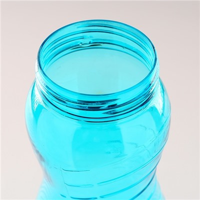 Бутылка для воды, 1 л, 25 х 9 см,  микс