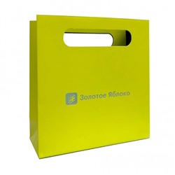 Подарочный пакет Золотое Яблоко (15x16)