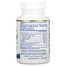 Paradise Herbs, Collagen Extreme с коллагеном BioCell, OptiMSM и натруальным витамином C, 60 капсул